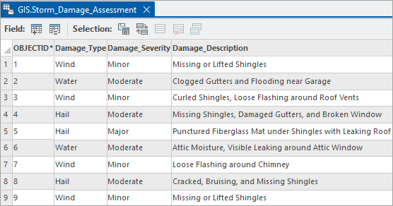 Tabelle "GIS.Storm_Damage_Assessment" vor Anwendung eines Volltextindex