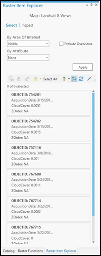 Bereich "Raster-Element-Explorer" – Registerkarte "Auswählen"