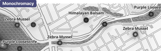 Invasive species data on enhanced light basemap with monochromacy simulated