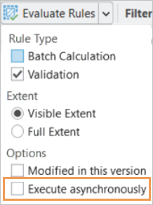 Execute asynchronously check box