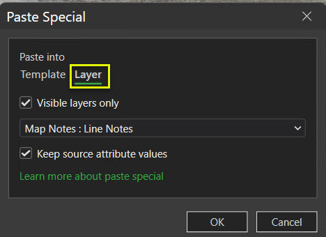 Paste Special Layer