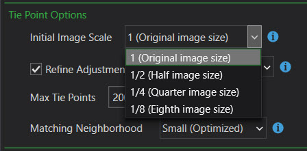 Tie point processing options