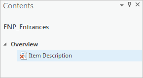 Item Description metadata editor page in the Contents pane