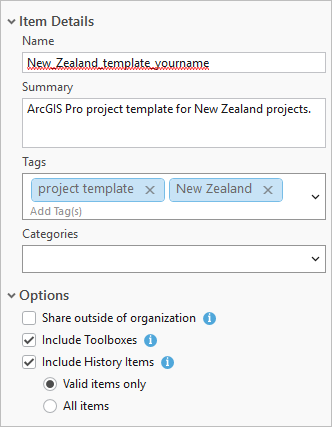 Item details for the project template