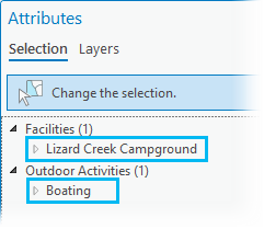 Selected features in the Attributes pane