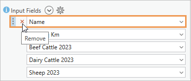 Liste Input Fields (Champs en entrée) avec le champ Name (Nom) indiqué