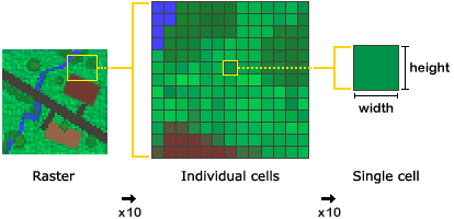 Image Analyst agit sur des cellules raster carrées