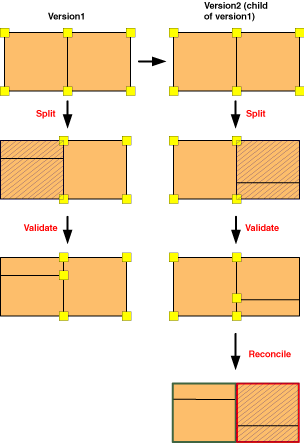 L’exemple 1 illustre le fractionnement de deux polygones adjacents dans chaque version.