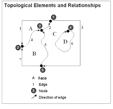 Graphe linéaire topologique de nœuds, de faces et de tronçons
