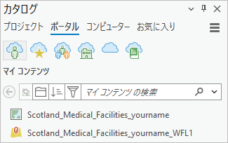 Web マップが表示されているカタログ ウィンドウ