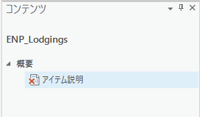 コンテンツ ウィンドウのアイテム説明メタデータ エディター ページ