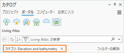 フィルター チップを示すカタログ ウィンドウ