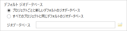 プロジェクトを作成するためのデフォルトのジオデータベース オプション