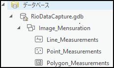 計測情報は、プロジェクトに関連するジオデータベースに保存されます