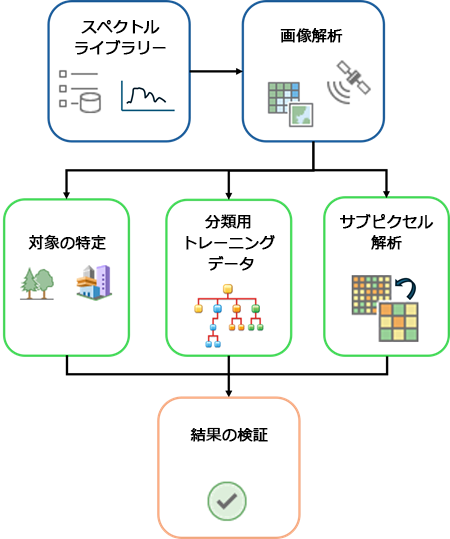 スペクトル ライブラリーの解析