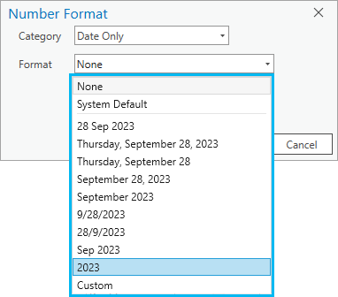 ArcGIS Pro で選択可能な date only データ タイプの書式設定オプション