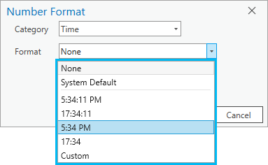 ArcGIS Pro で選択可能な time only データ タイプの書式設定オプション