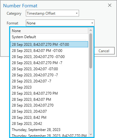ArcGIS Pro で選択可能な timestamp offset データ タイプの書式設定オプション
