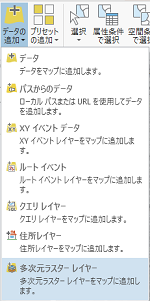 多次元ラスター レイヤー オプション