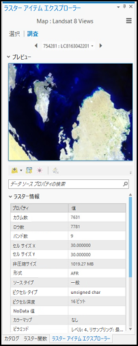 モザイク データセットまたはイメージ サービスの特定のアイテムに関連付けられたリストの詳細を示すラスター アイテム エクスプローラー ウィンドウ