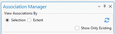 Association Manager pane