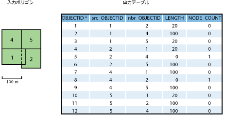 入力データと出力テーブル
