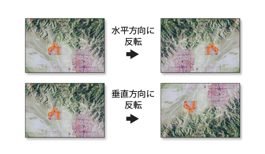 上下と左右に反転したラスター データセット