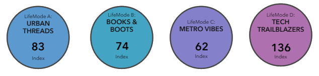 LifeMode Groups summary indicators