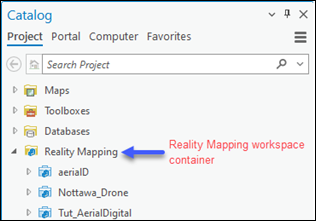 Контейнер рабочей области Reality Mapping