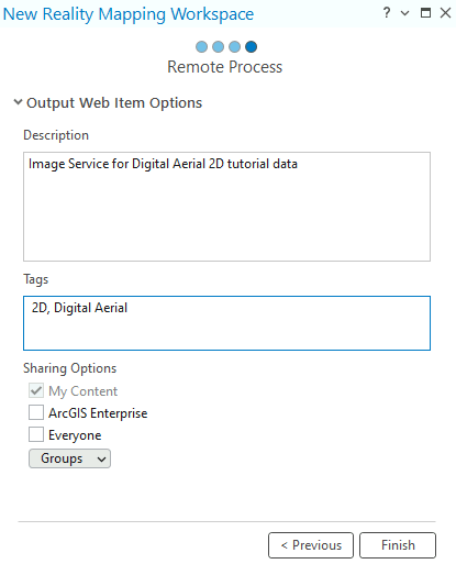 Опция удаленного процесса рабочей области Reality Mapping