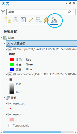 内容窗格中的“按透视影像列出”按钮