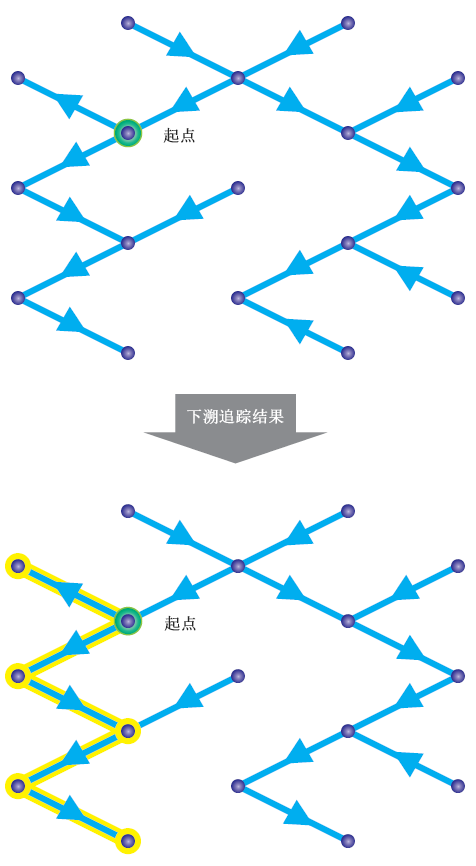 下溯追踪的示例