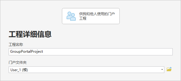 向导的工程详细信息页面